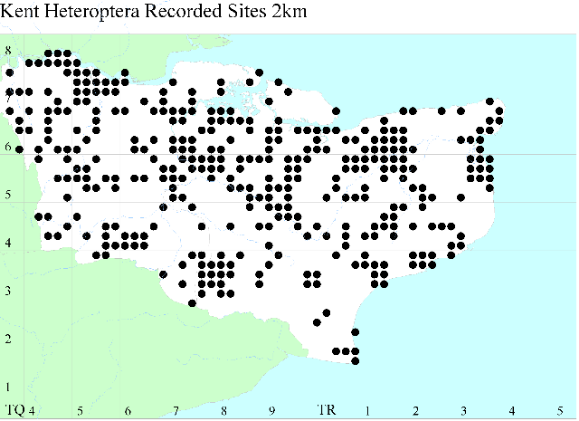 Introduction to the Atlas of Shieldbugs & allies of Kent